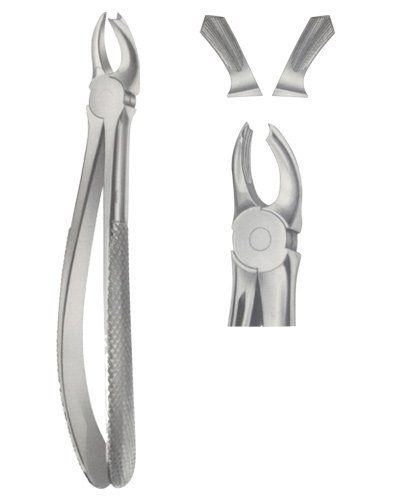 Tooth Forceps for upper Mullers 