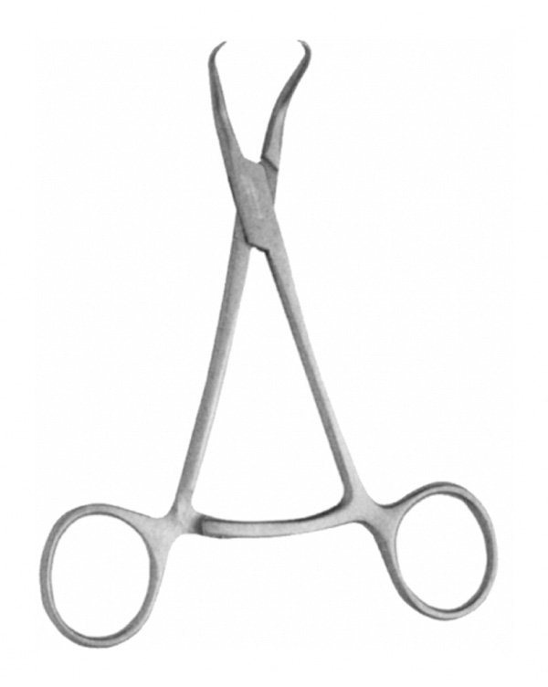 Stagbeetle Forceps